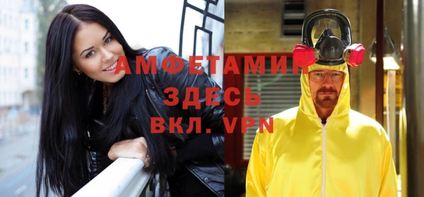 сатива Арсеньев