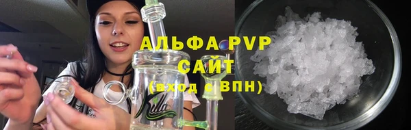 сатива Арсеньев