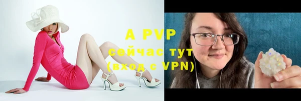 сатива Арсеньев