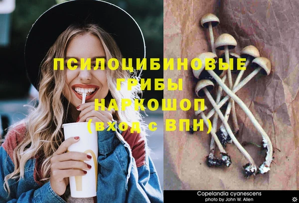 гашишное масло Аркадак