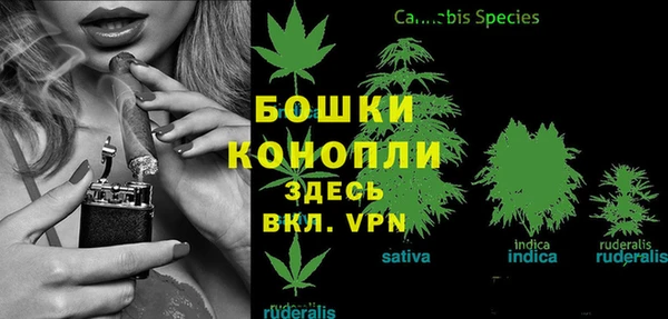 бошки Коряжма
