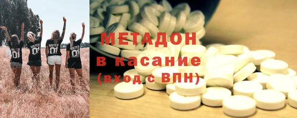 сатива Арсеньев