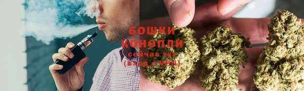 сатива Арсеньев
